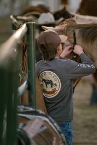 kbr2 x josi frommelt 256.webp