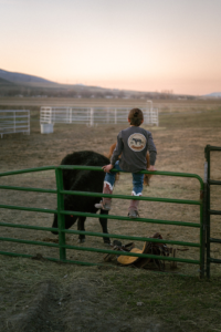 kbr2 x josi frommelt 287.webp